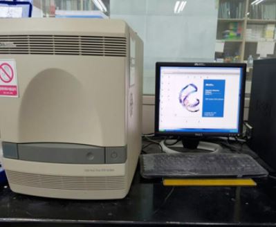 Real time PCR