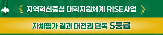 지역혁신중심 대학지원체계 RISE사업 자체평가 결과 대전권 단독 S등급